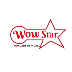 Wow Star Fireworks